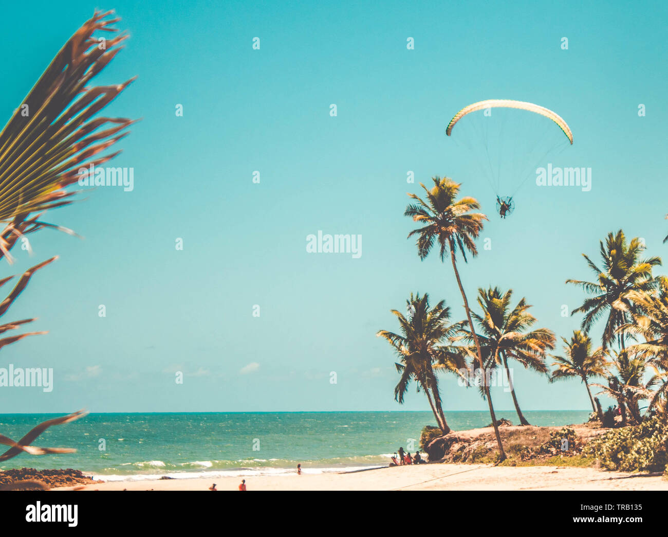 El parapente en el cielo. Parapente sobrevolar la playa en un brillante día soleado en la playa Coqueirinho, Brasil Foto de stock