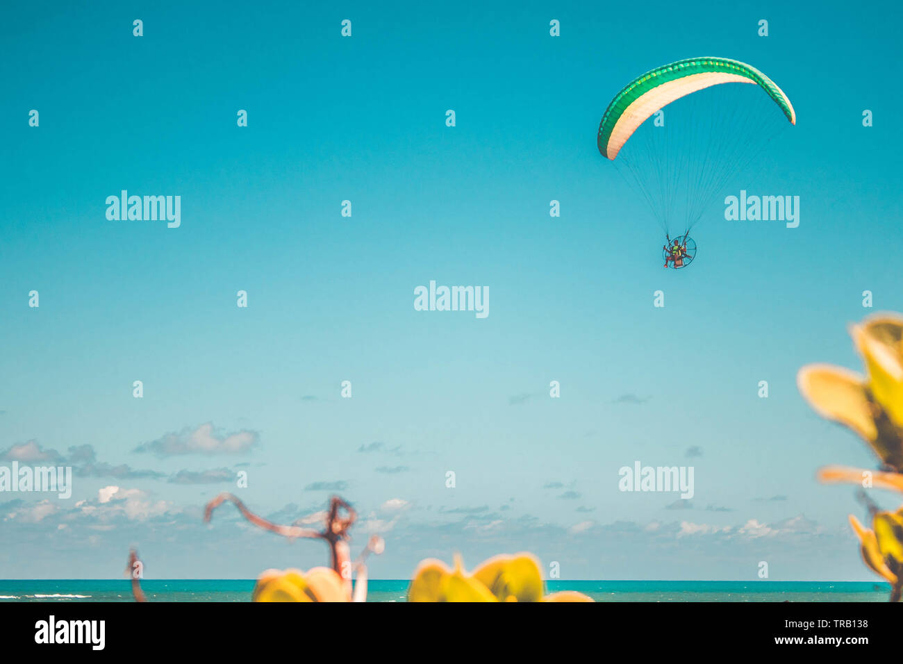 El parapente en el cielo. Parapente sobrevolar la playa en un brillante día soleado en la playa Coqueirinho, Brasil Foto de stock