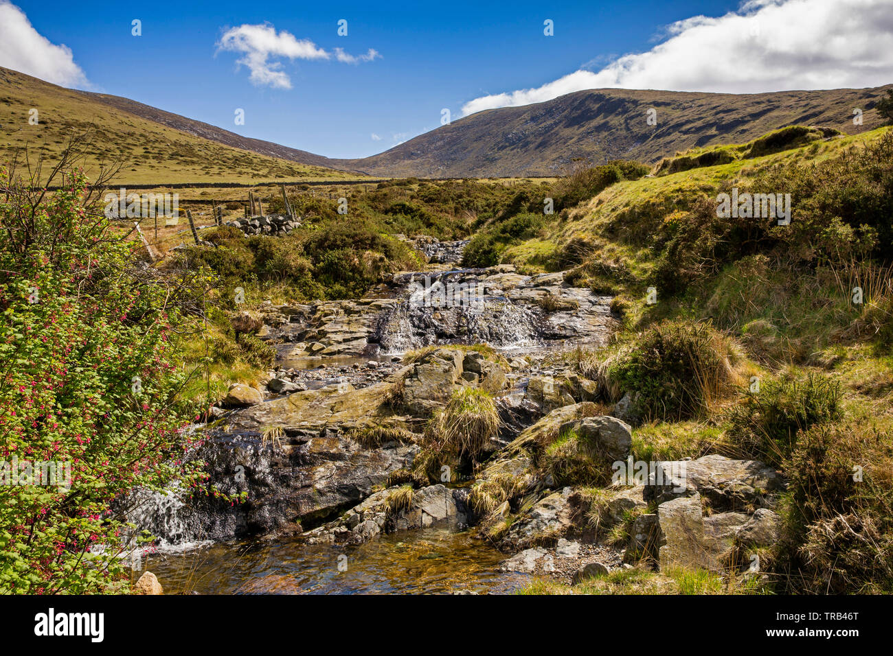 Irlanda del Norte, Co, Shimna River Valley, manantial de Slieve Meelmore Foto de stock