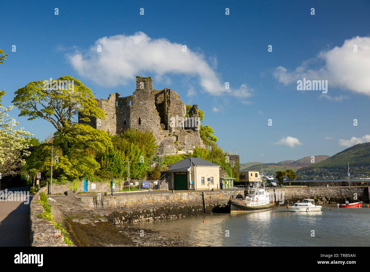 Irlanda, Co Louth, Península Cooley, Carlingford, St John's Castle, ruina medieval sobre el puerto Foto de stock