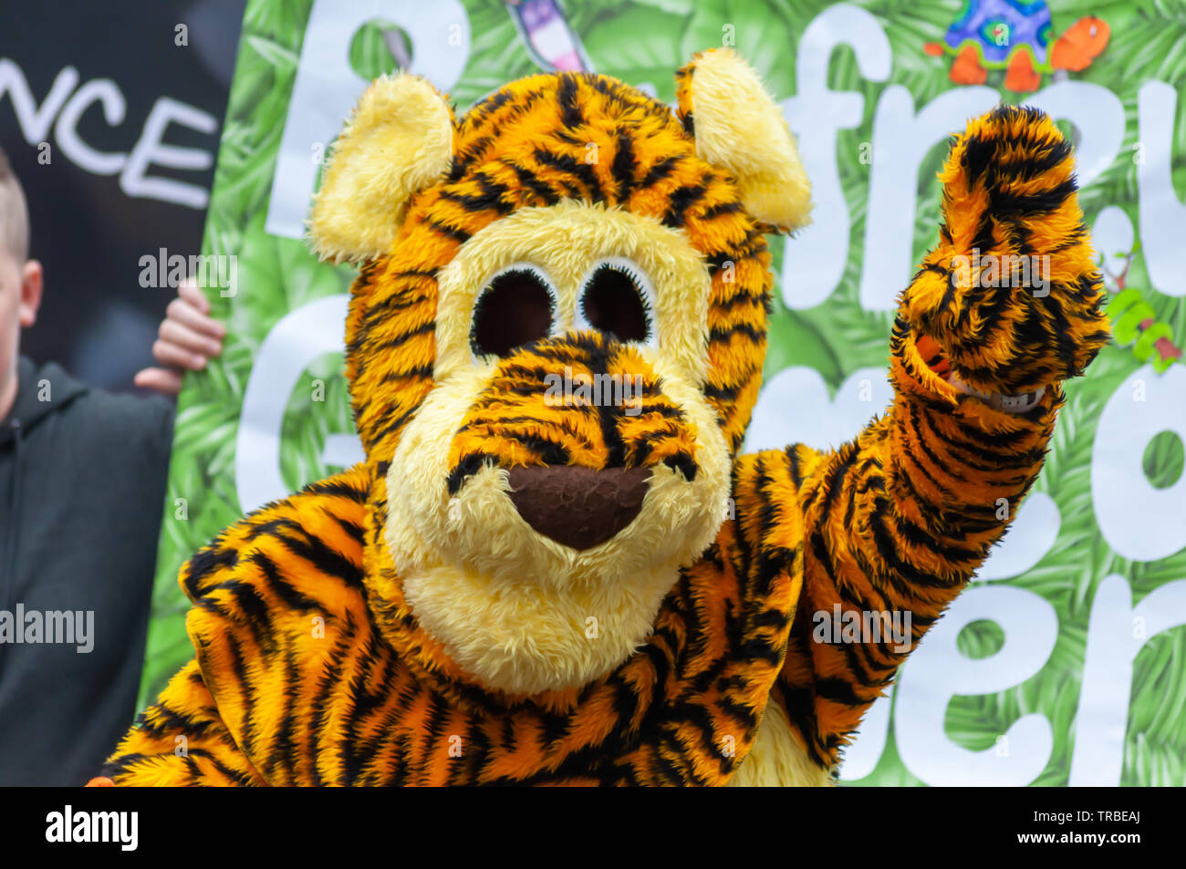 Disfraz de tigre fotografías e imágenes de alta resolución - Alamy