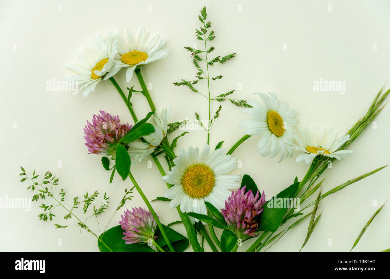 Desear flores fotografías e imágenes de alta resolución - Página 5 - Alamy