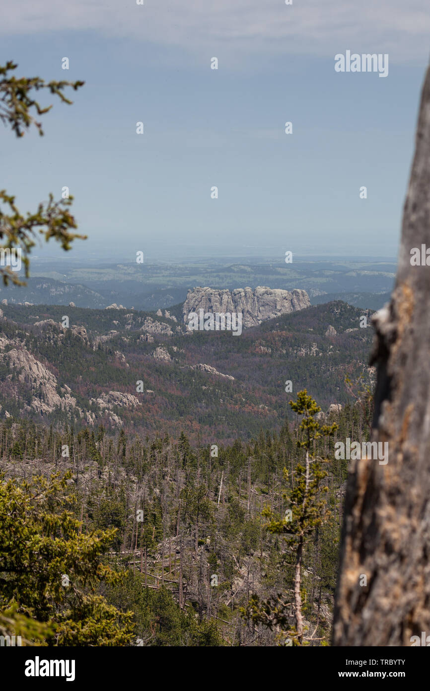 Mirando desde las torres de la Catedral la sección del Custer State Park, a través de la selva hasta la gran formación rocosa que es el reverso del Monte Rushmore. Foto de stock