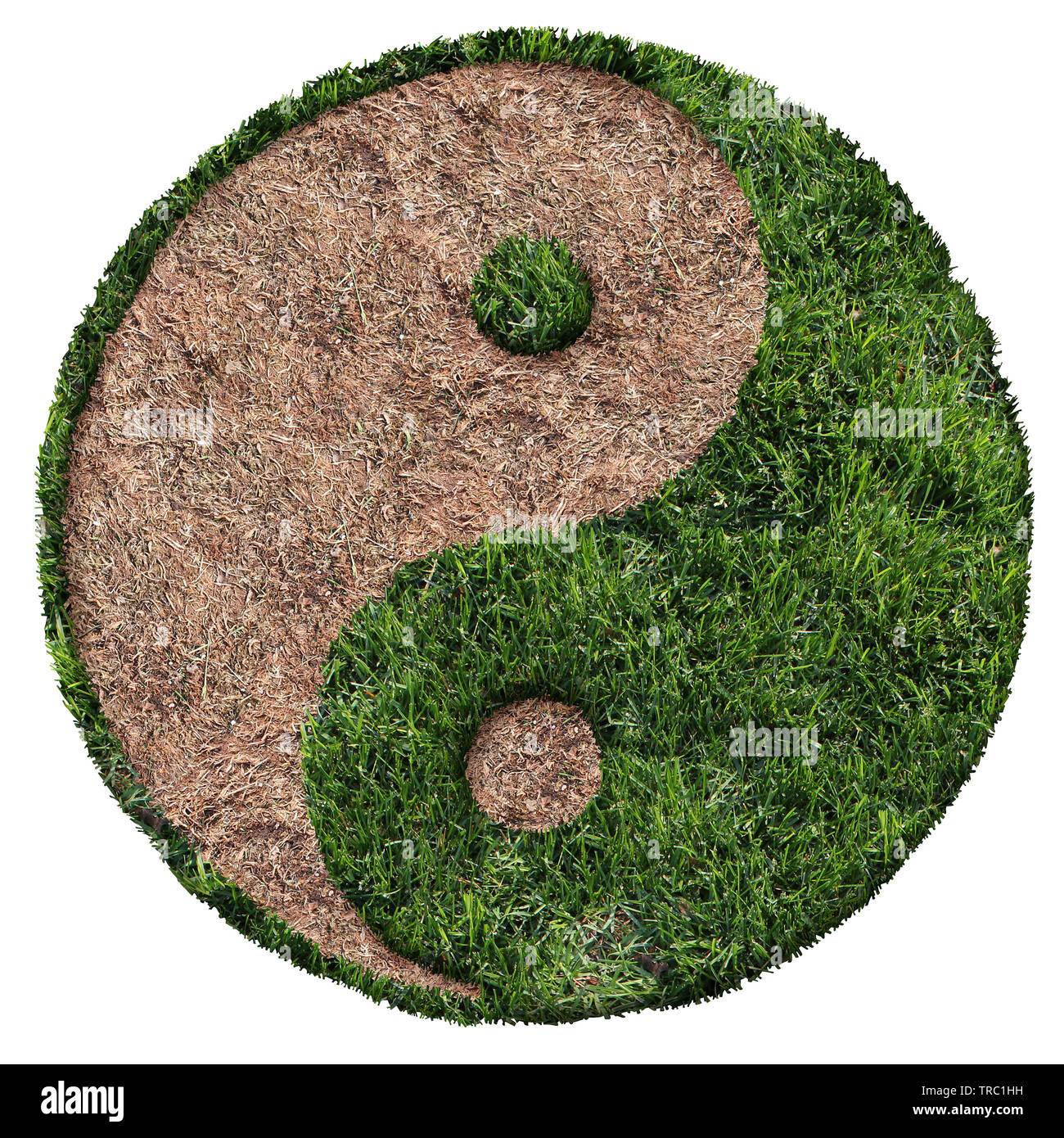 Cuidado del césped verde con el símbolo y el parche marrón y el área de sequía en forma de ying y yang símbolo como un icono de paisajismo imagen compuesta. Foto de stock