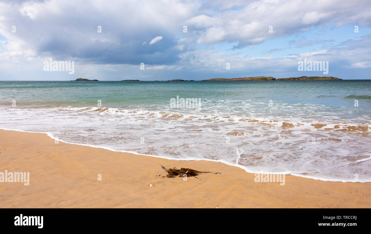 La pintoresca playa de rocas blancas a lo largo de la Costa Causeway, Condado de Antrim, Irlanda del Norte Foto de stock