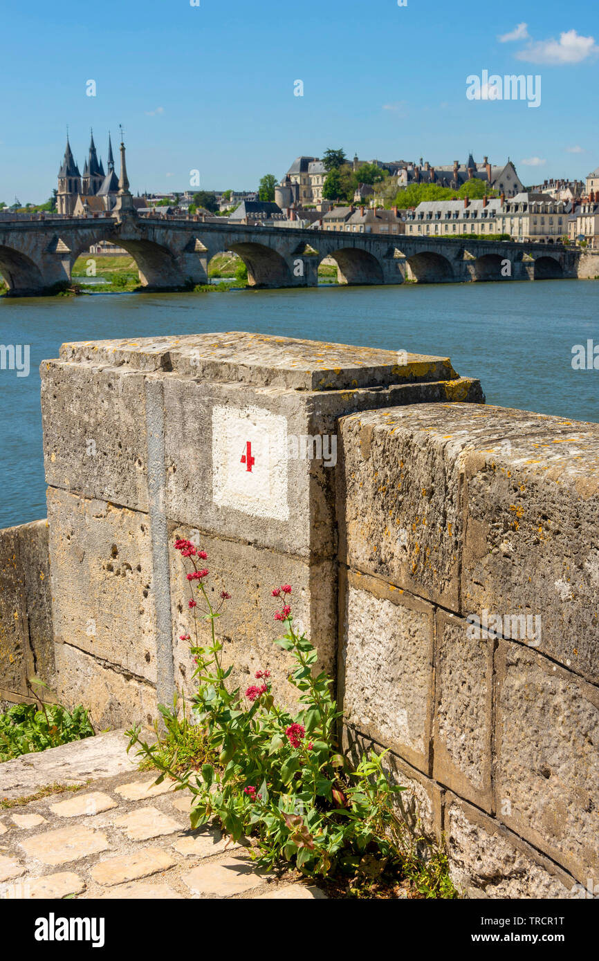 Vista de la Loire , de la ciudad de Blois, Loir-et-Cher, Center-Val departamento de Loire, Francia, Europa Foto de stock