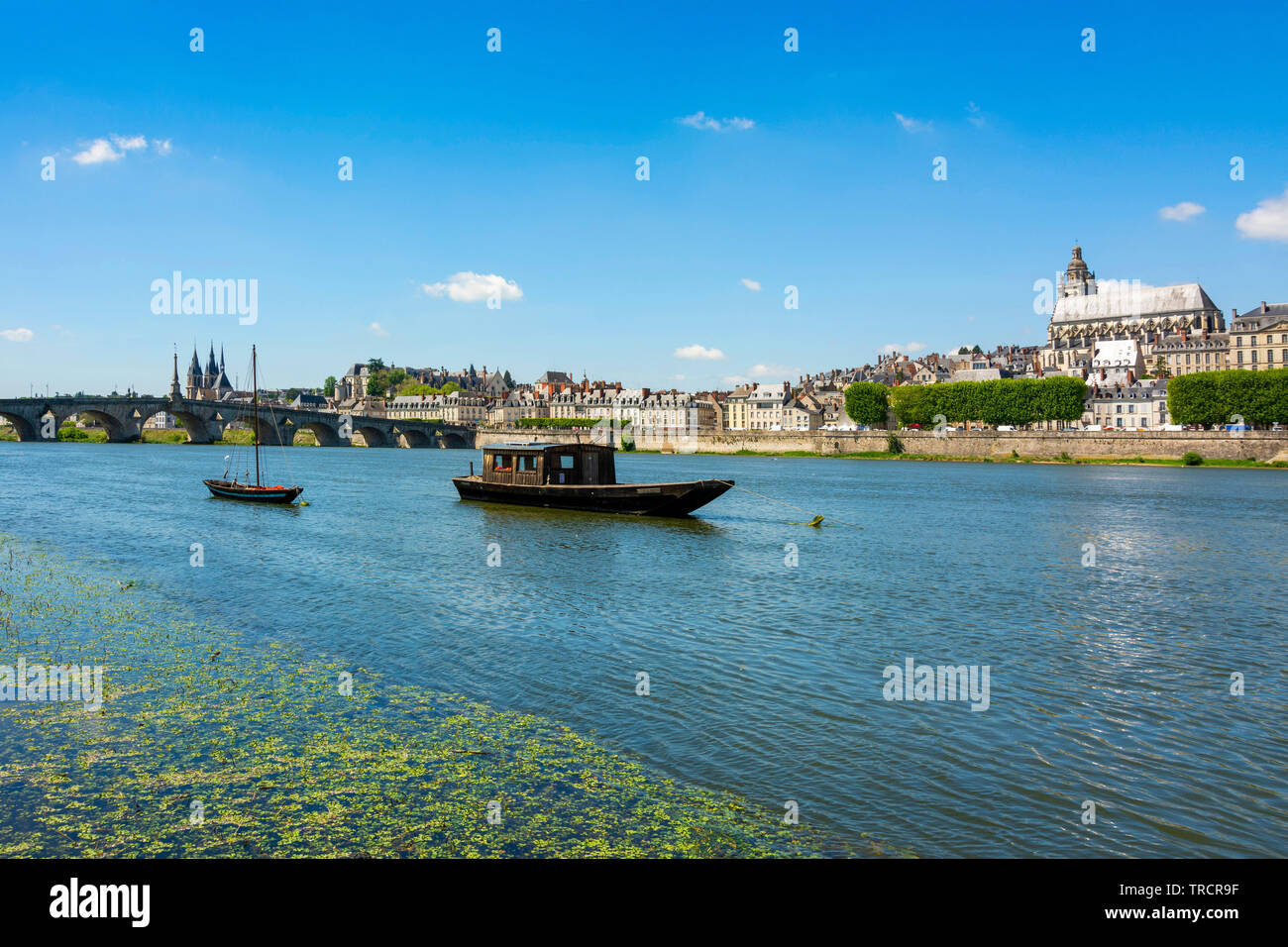 Vista del Loira con sus embarcaciones tradicionales, la ciudad de Blois, Loir-et-Cher, Center-Val departamento de Loire, Francia, Europa Foto de stock