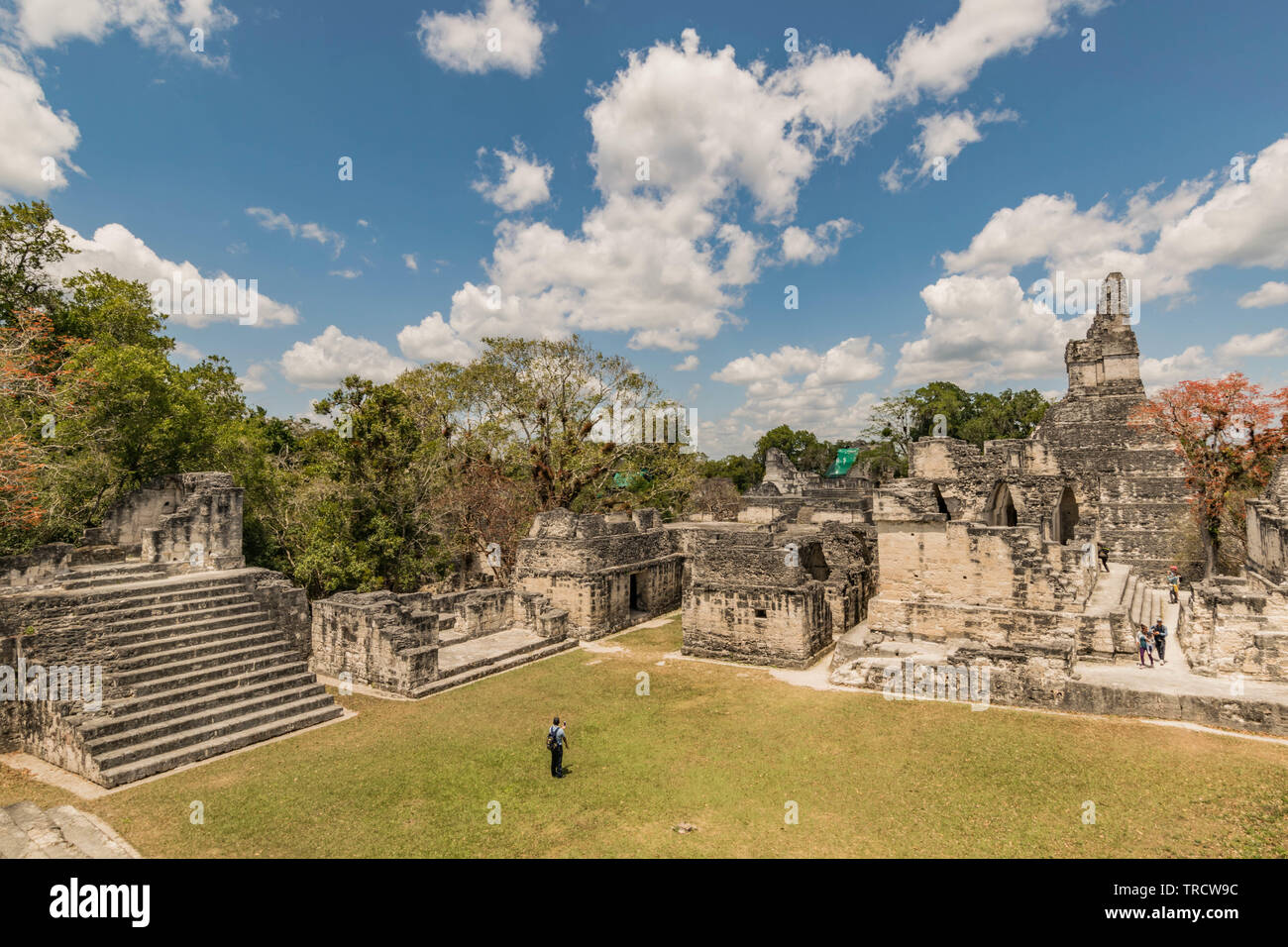 Las antiguas pirámides mayas en el Parque Nacional de Tikal en Guatemala Foto de stock
