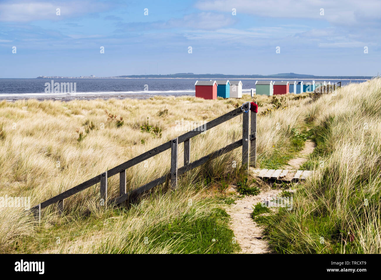 Camino a través de dunas y una escalera de madera que conduce a la playa con coloridas casetas de playa en la costa de Moray Firth. Findhorn, Moray, Escocia, Reino Unido, Gran Bretaña Foto de stock