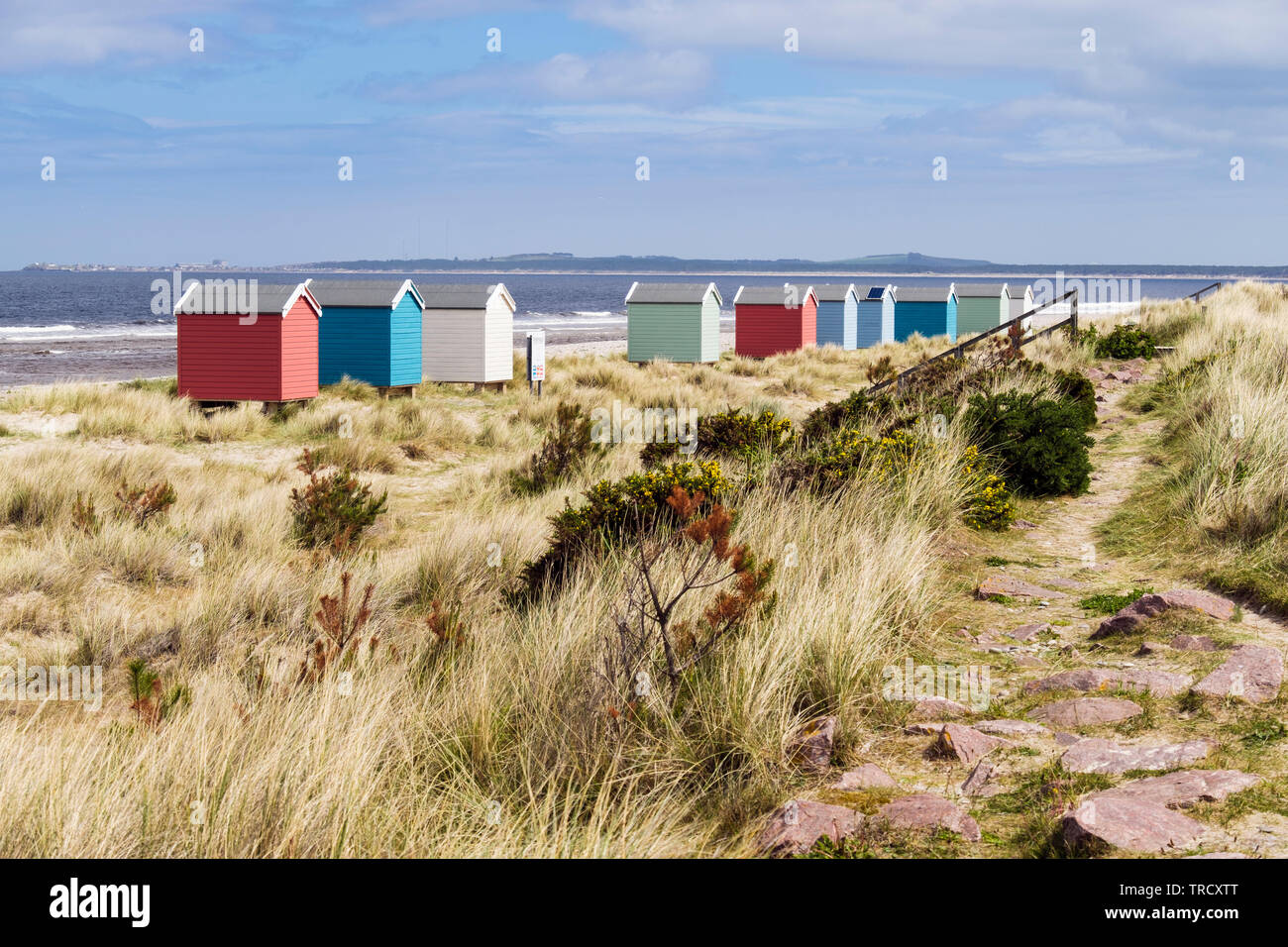 Ruta a través de las dunas de arena por encima de la playa de Findhorn con coloridas casetas de playa en la costa de Moray Firth. Findhorn, Moray, Escocia, Reino Unido, Gran Bretaña Foto de stock