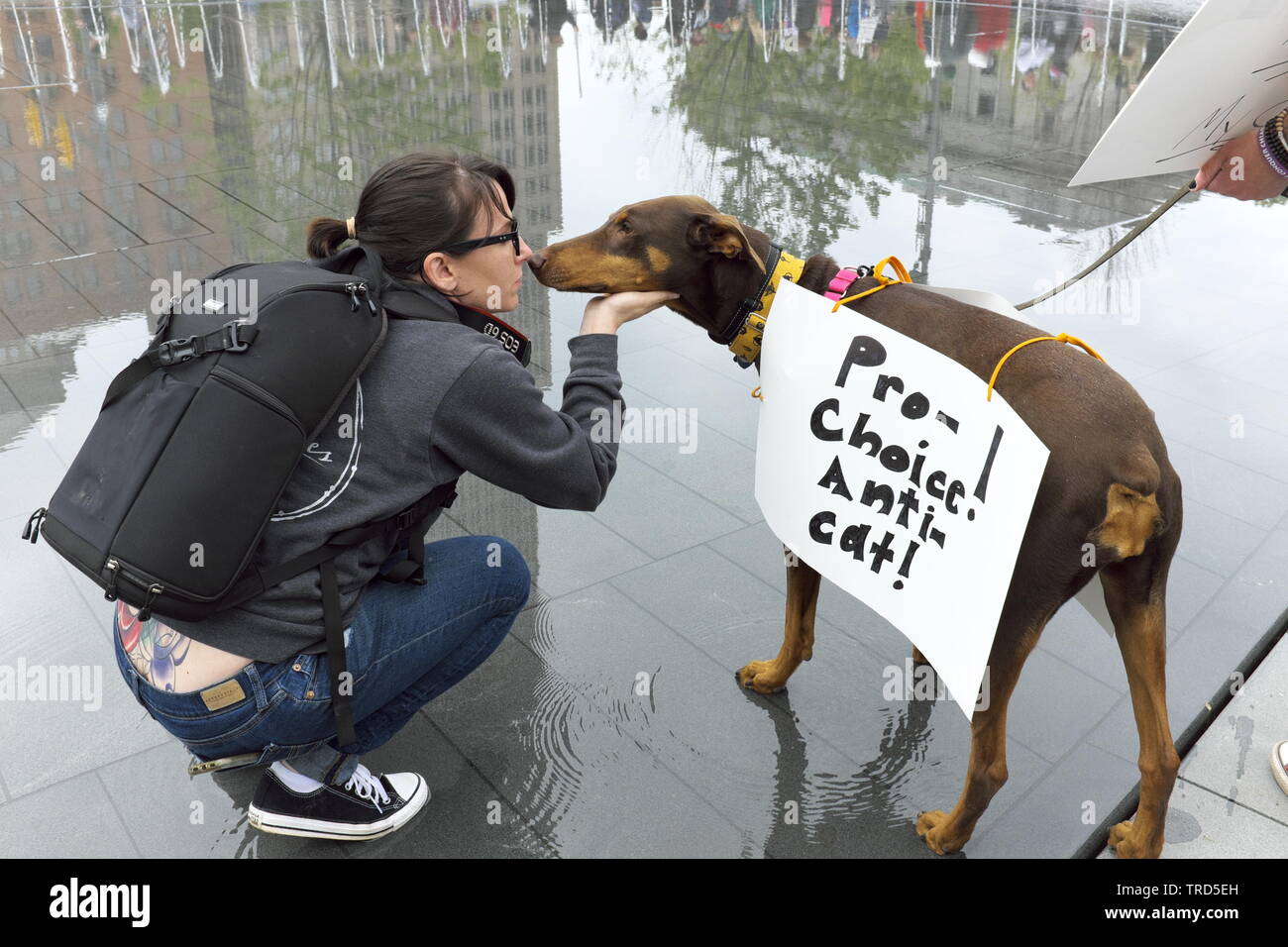 Un perro con un "pro-elección anti-cat' signo va cara a cara con una mujer en un mitin pro-elección en el centro de la ciudad de Cleveland, Ohio, EE.UU. Foto de stock