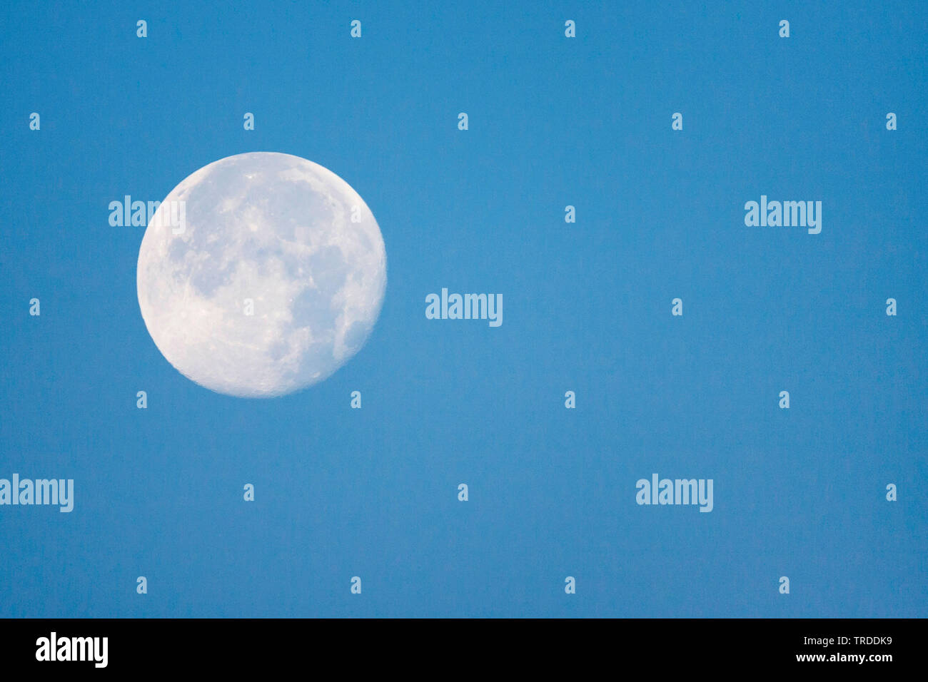 Luna en claro bly cielo en luz diurna, Países Bajos, Holanda del Sur, Katwijk aan Zee Foto de stock