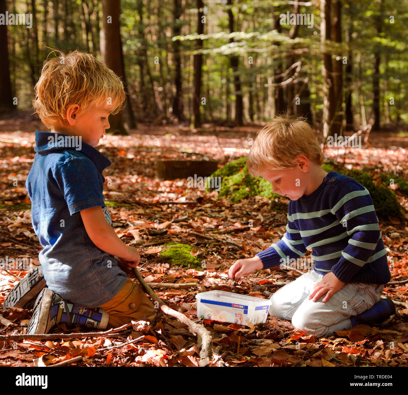 Niños jugando en el bosque, Países Bajos Foto de stock