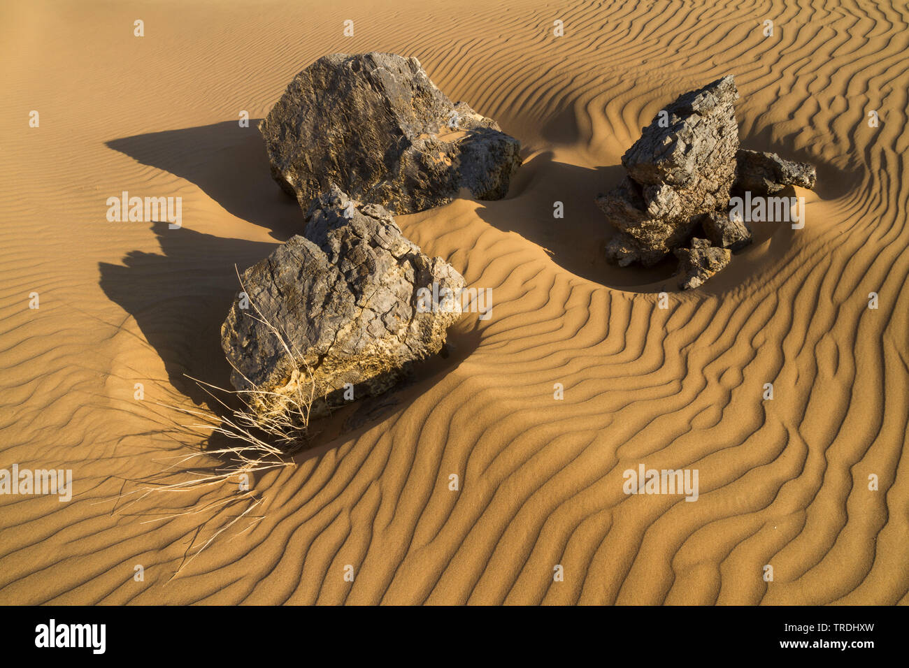 Desierto Central de Omán Omán Foto de stock