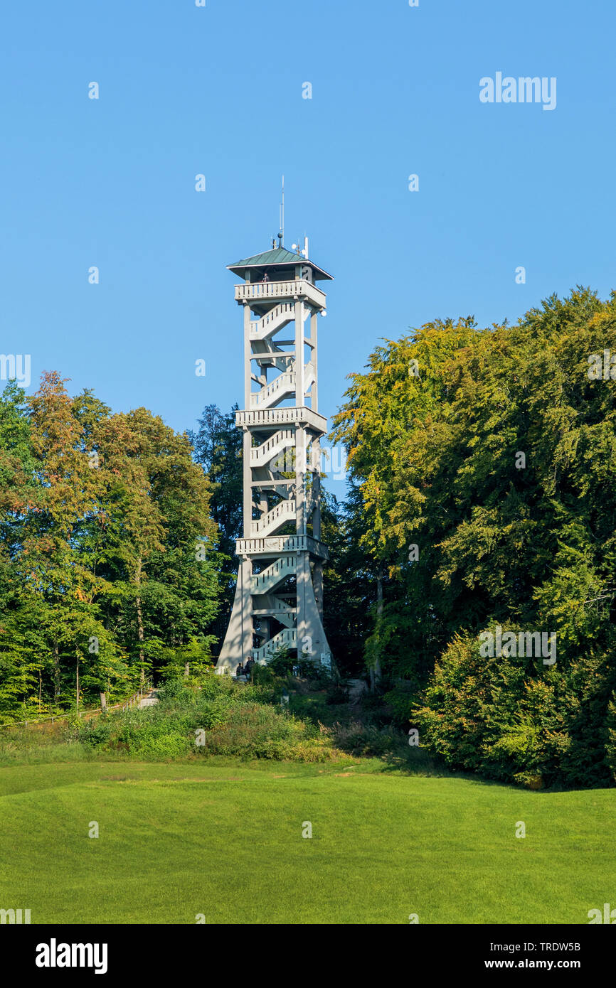 Torre de observación en la montaña Ludwigshoehe Ebersberg, Alemania, Baviera, Eberberger Forst, Ebersberg Foto de stock