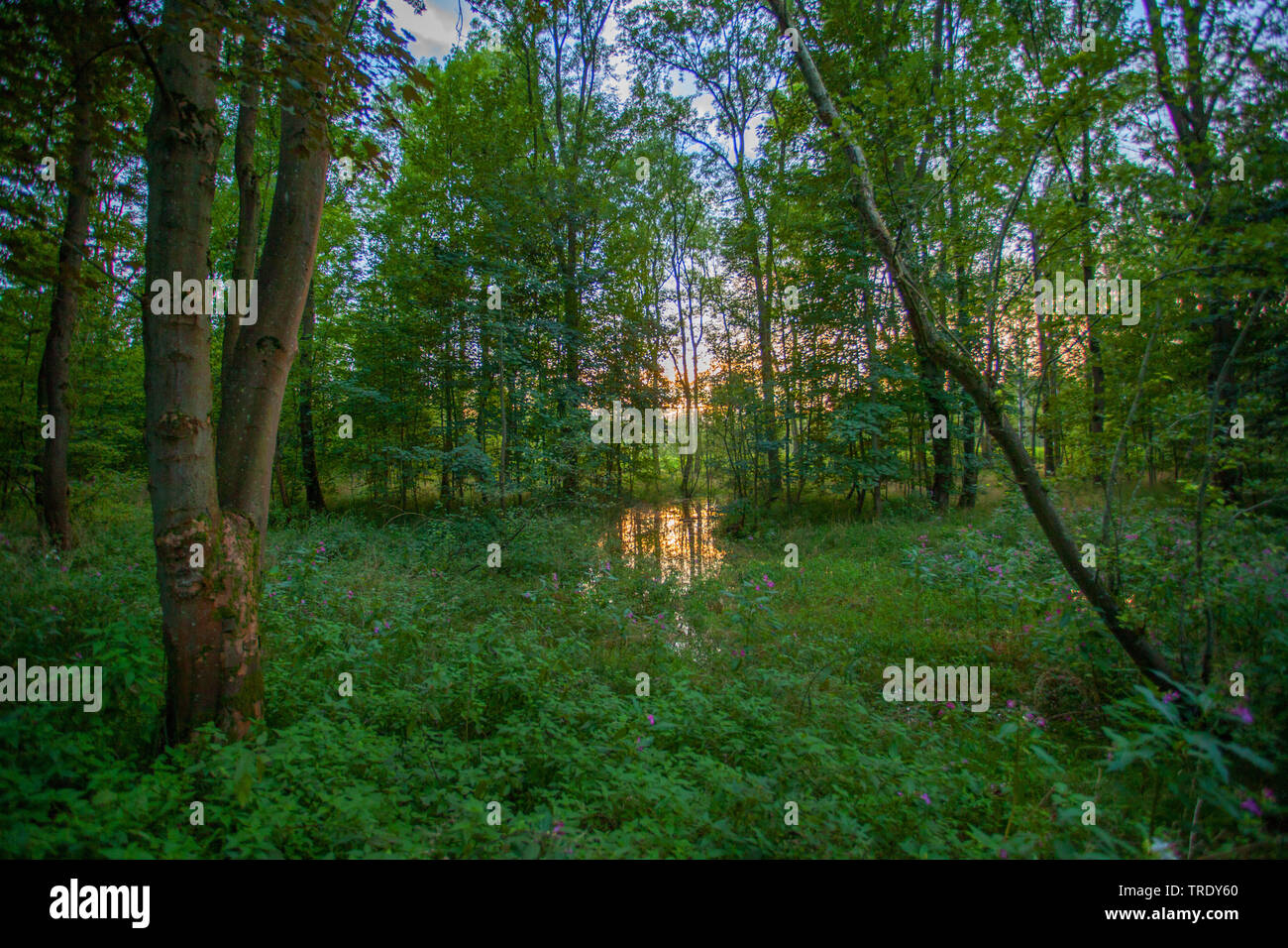 Hangenham fotografías e imágenes de alta resolución Alamy Hangenham fotografías e imágenes de alta resolución Alamy