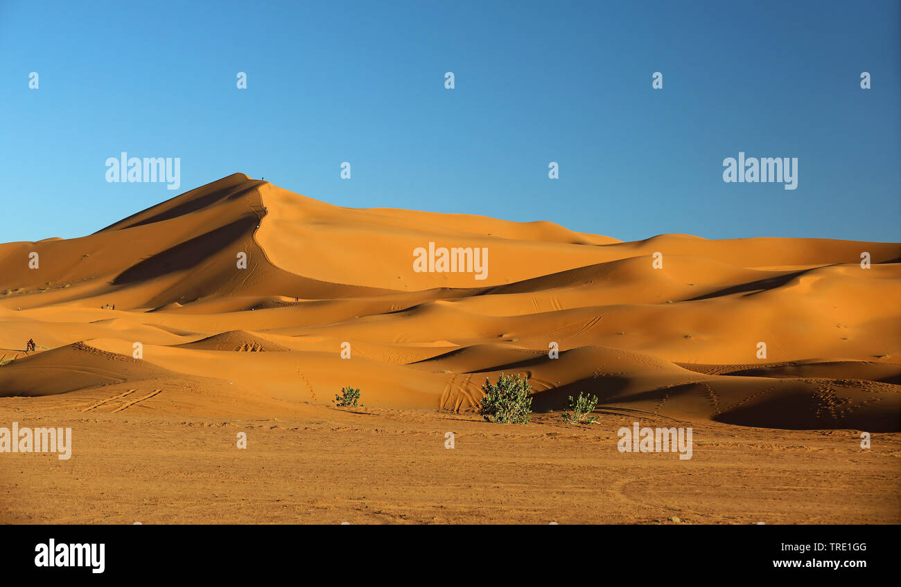 Erg Chebbi, dunas de arena en la luz del atardecer, Marruecos, Merzouga Foto de stock