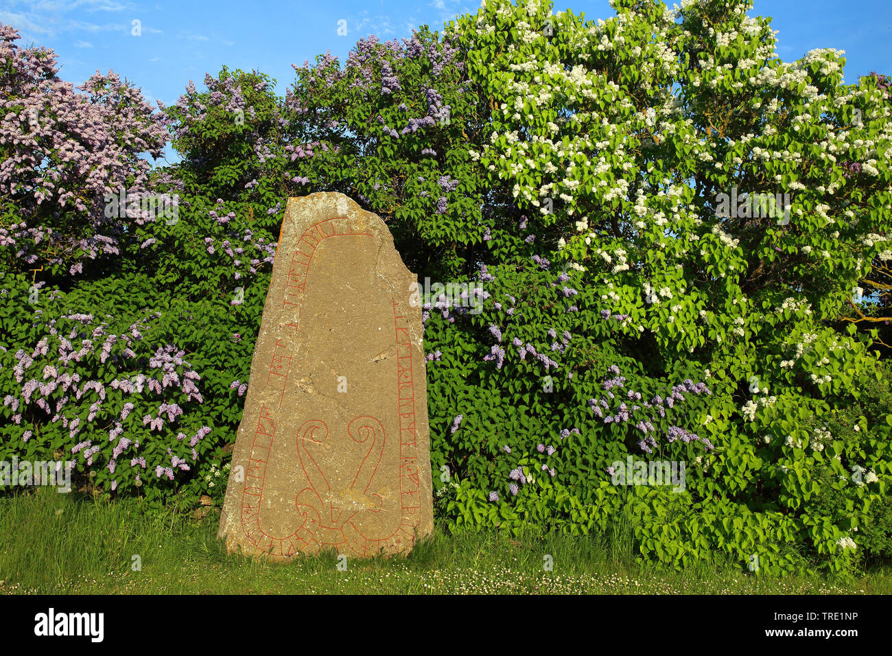 Runestone Seby, Suecia Oeland Foto de stock