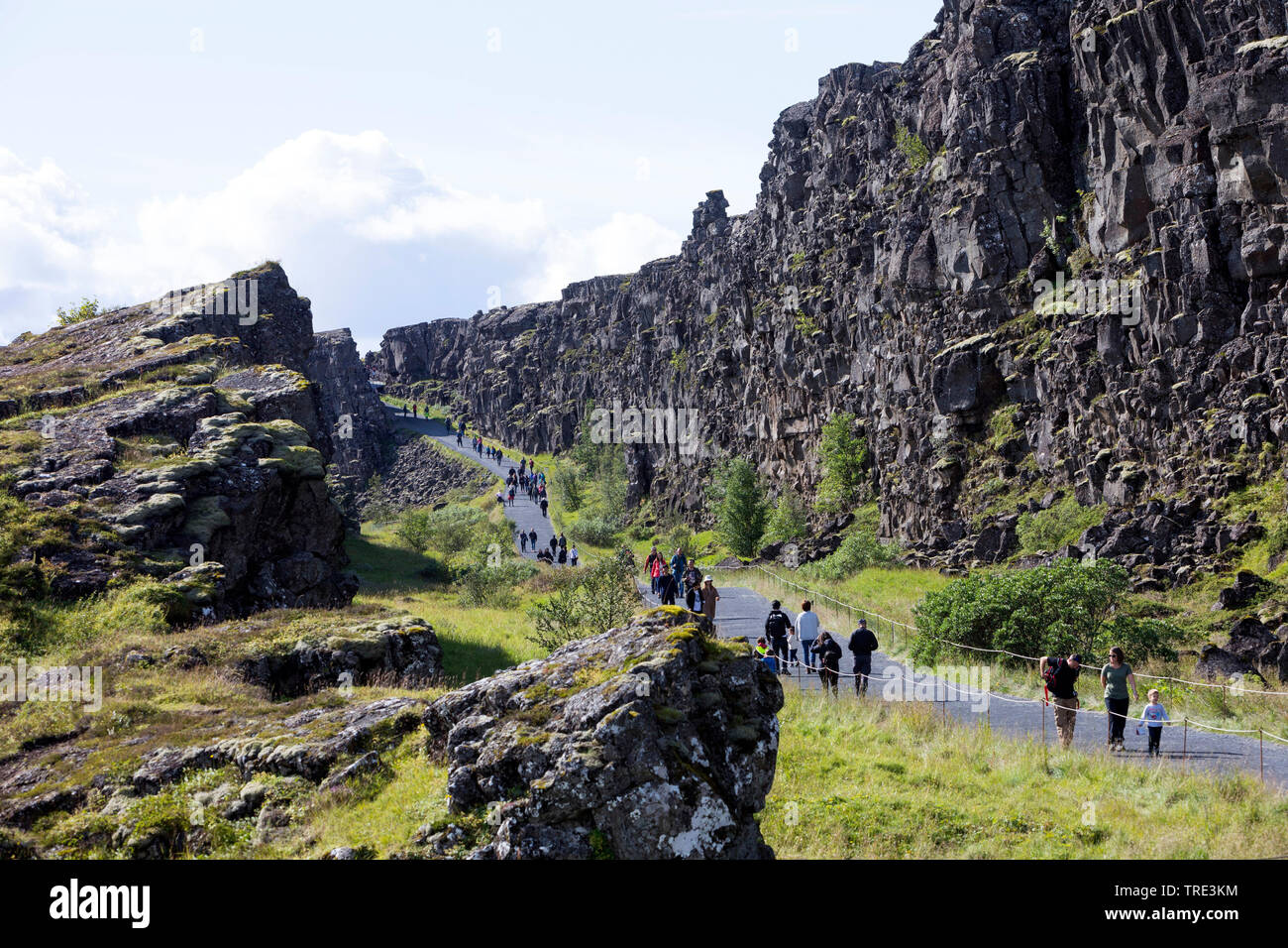 Almannagja, valle del rift entre las placas Euroasiática y norteamericana, Islandia, Parque Nacional Thingvellir Foto de stock