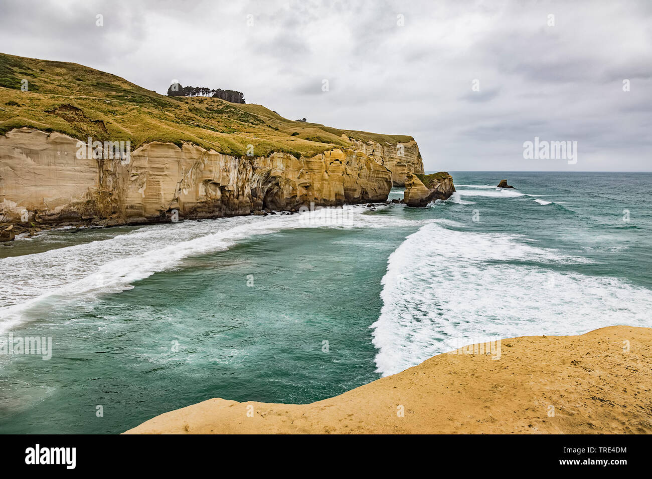 Los acantilados a la playa cercana de túnel de Dunedin, Nueva Zelanda, Otago, Dunedin Foto de stock