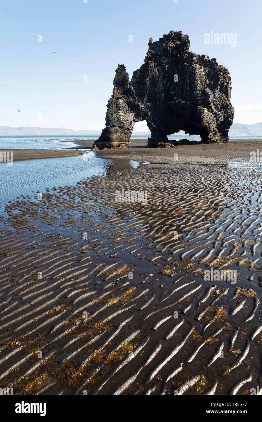 Basalto en la costa oriental de la península Vatnsnes en el noroeste de Islandia, Islandia, Hvitserkur Foto de stock