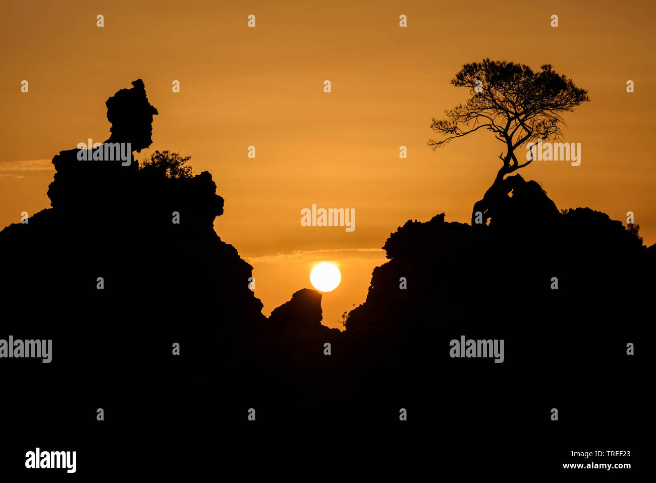 Siluetas de rocas costeras con solo árbol al atardecer, Croacia, Peljesac Foto de stock