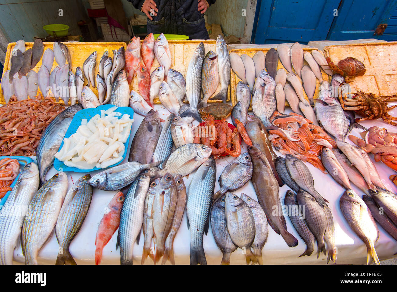 Verdadero mercado de pescado, marisco y pescado fresco del océano Atlántico en Marruecos Foto de stock