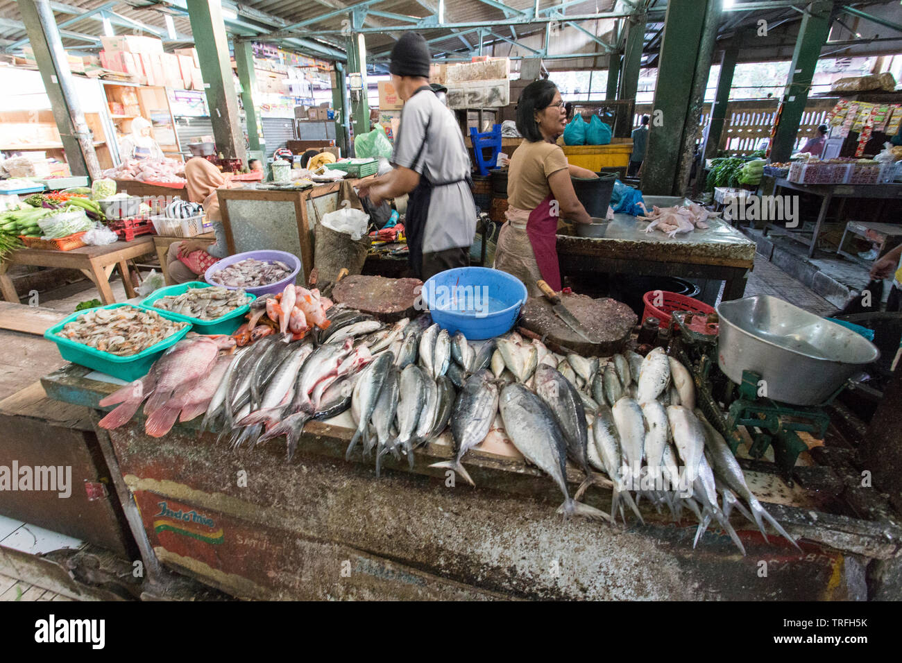 Yogyacarta, Indonesia - Agosto 04, 2017: los peces en el mercado; la mujer no identificada es la venta de peces Foto de stock