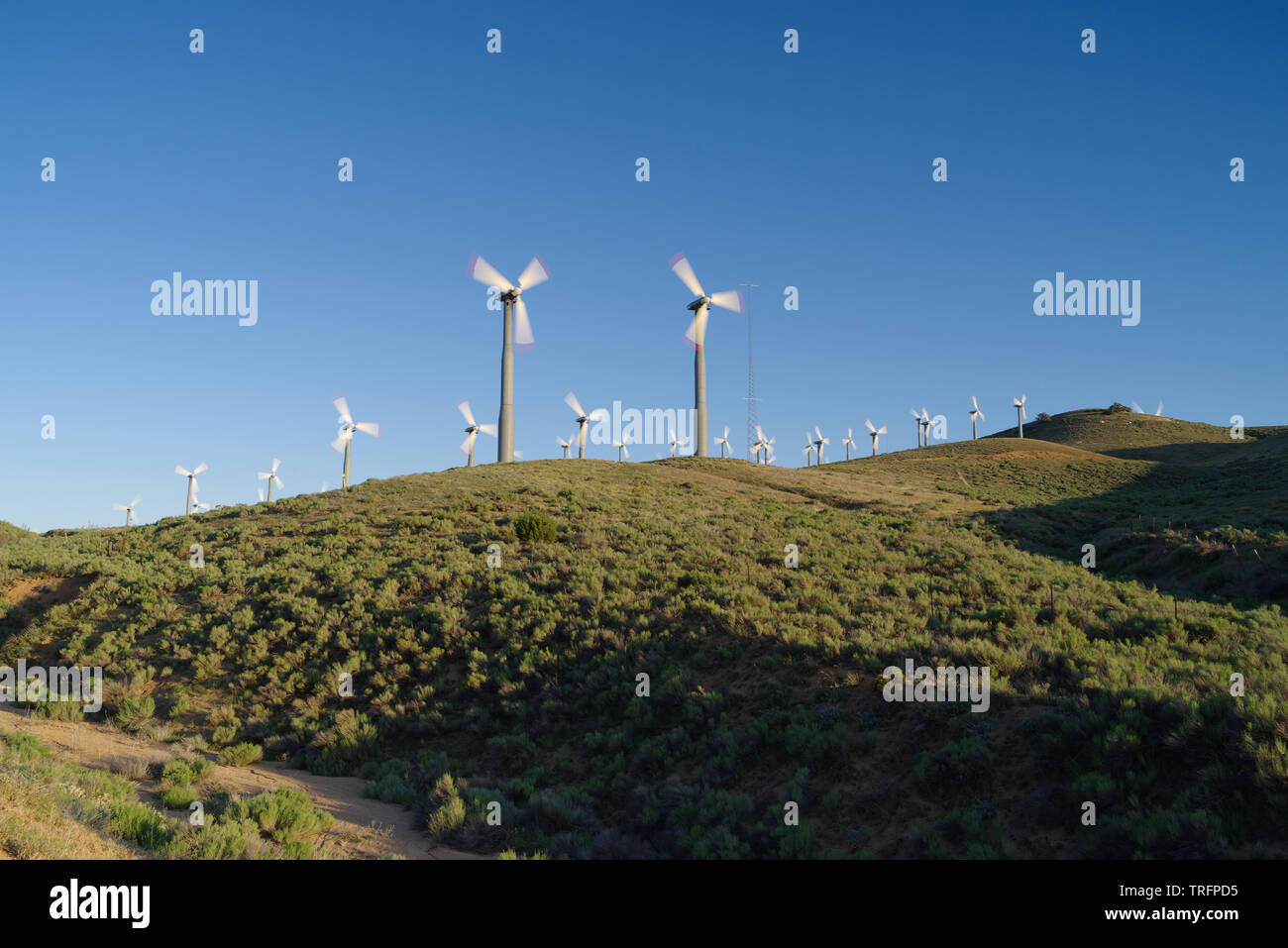 Las turbinas eólicas en el condado de Kern en el sur de California. Foto de stock