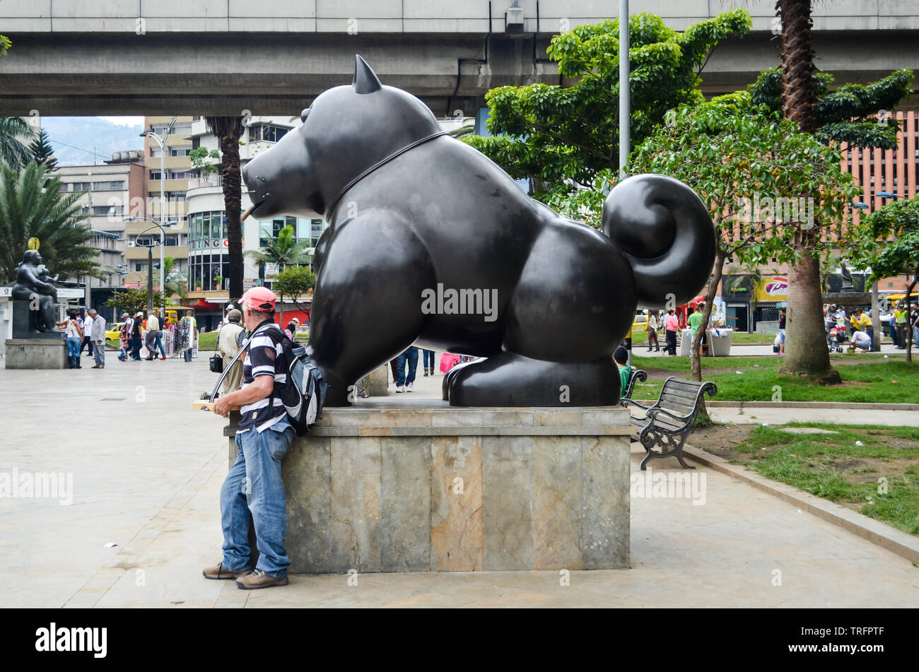 La famosa escultura de gato por el mundialmente famoso artista colombiano Fernando Botero, ubicado en la Plaza de Botero, uno de los principales atractivos turísticos de Medellín Foto de stock