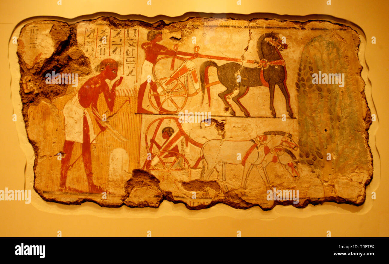 Marsh escenas de caza, tumba de Nebamun egipcio capilla 1350 A.C. en el Museo Británico Foto de stock
