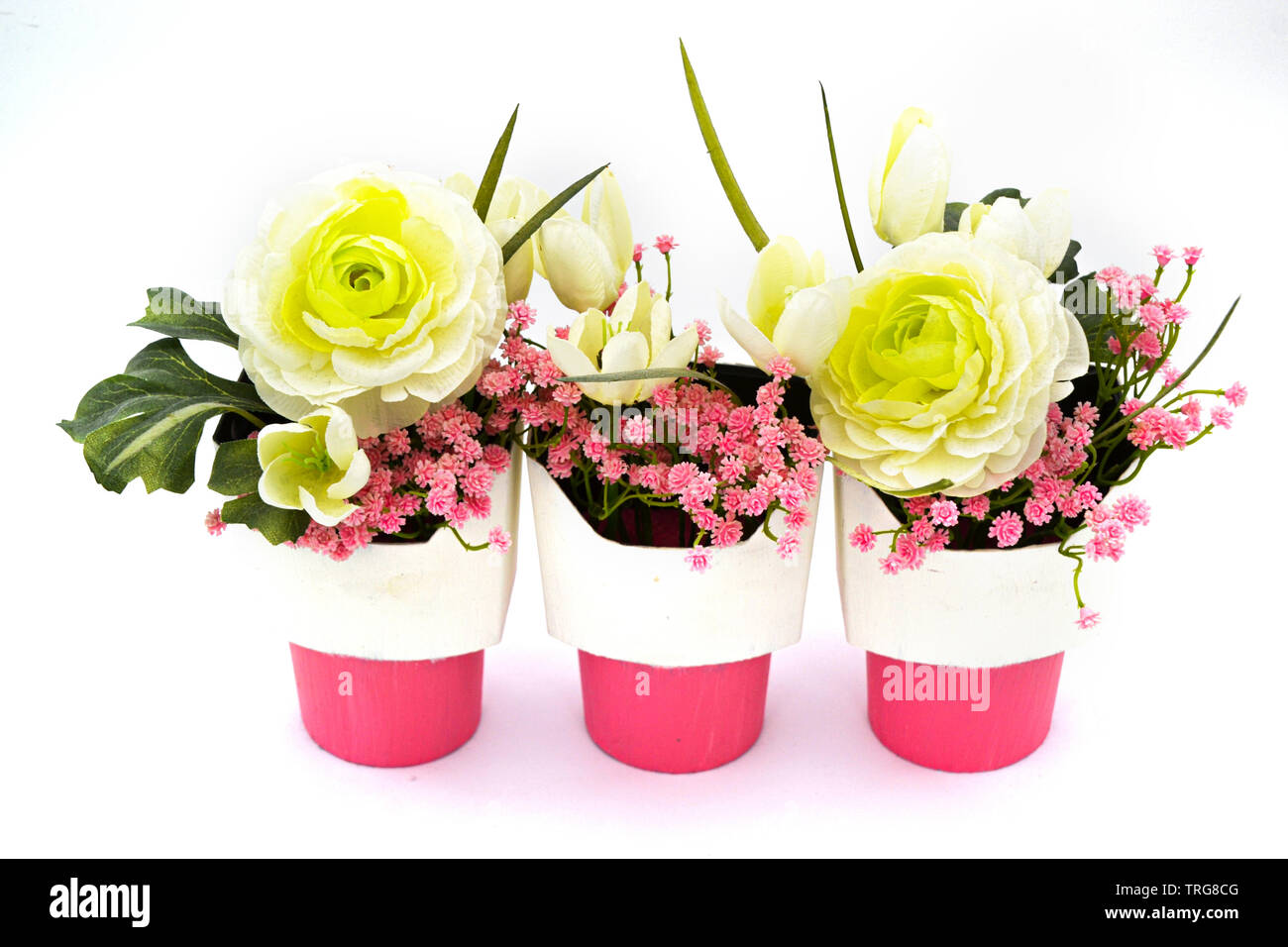 Blumen / Weiße Rose / Blätter Blüten / Blumenmeer / Rosa / Rosa/Weißer Blumentopf / Flores / White Rose / Hojas / Flores rosas flor / Mar / rosa / Foto de stock