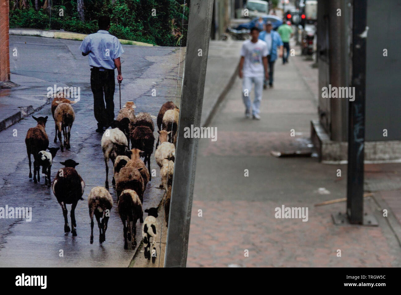 Caracas,Venezuela. La gente caminando por las calles de la Caracas Colonial  Fotografía de stock - Alamy