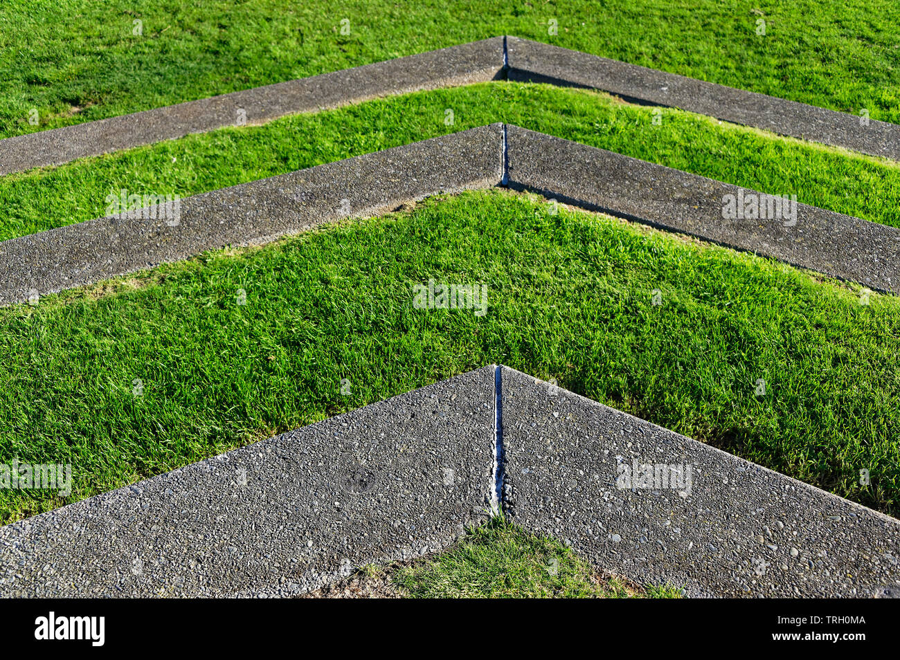 Pasos pavimentados con hierba entre forma un ángulo interesante Foto de stock