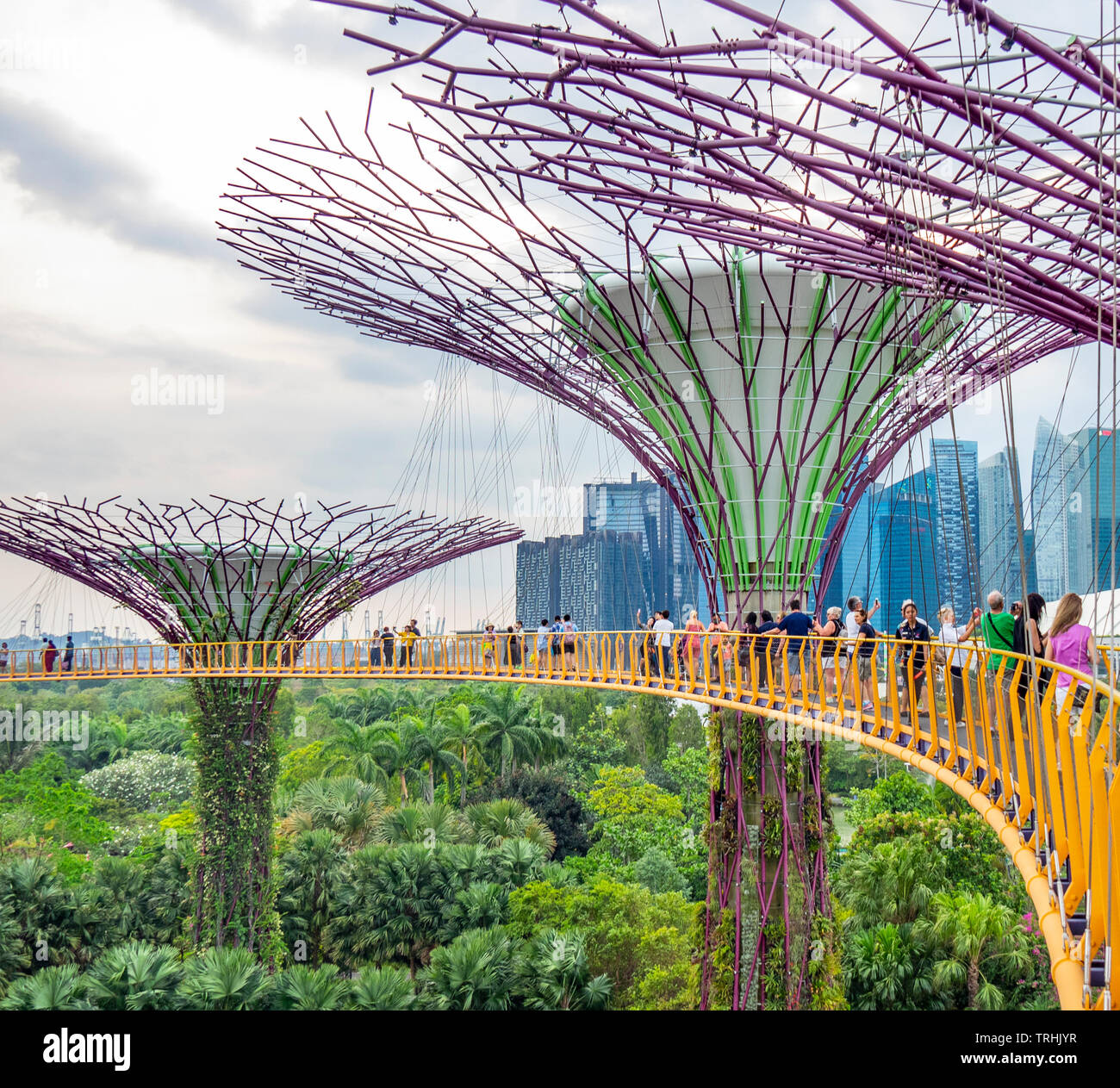Los turistas de la pasarela elevada OCBC Skyway entre dos de los Supertree Supertrees en el Grove en jardines junto a la bahía de Singapur. Foto de stock