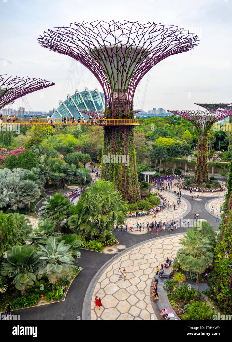 Un árbol artificial jardín vertical en el Supertree Grove en los jardines  junto a la bahía de Singapur Fotografía de stock - Alamy