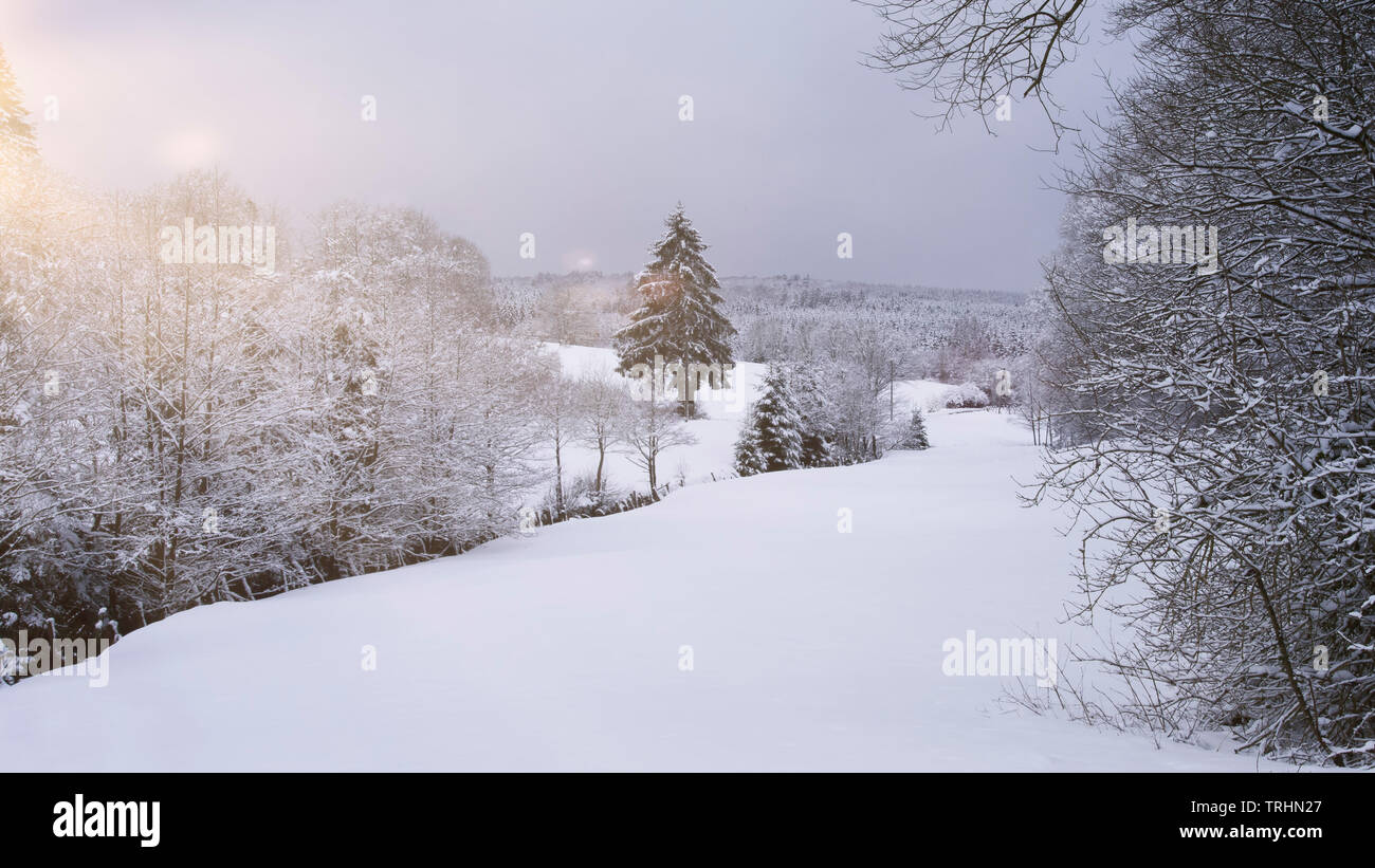 Paisaje con nieve y sol en Brilon, Sauerland. Este paisaje puede encontrarse cerca del molino Altenbürener nevados bosques mixtos bajo el alto de la capa de nieve. Foto de stock