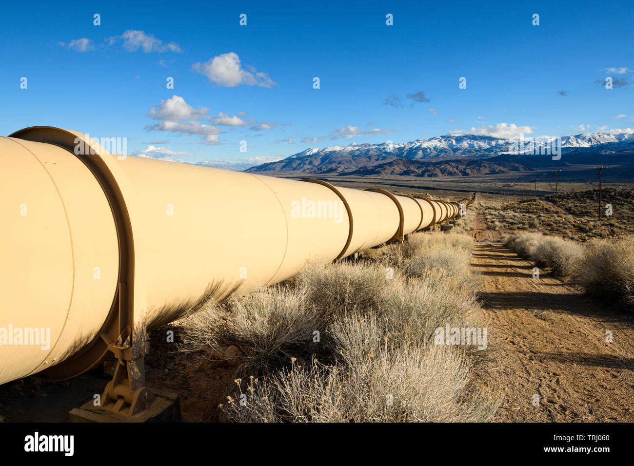 Batalla de los angeles Fotos e Imágenes de stock Alamy