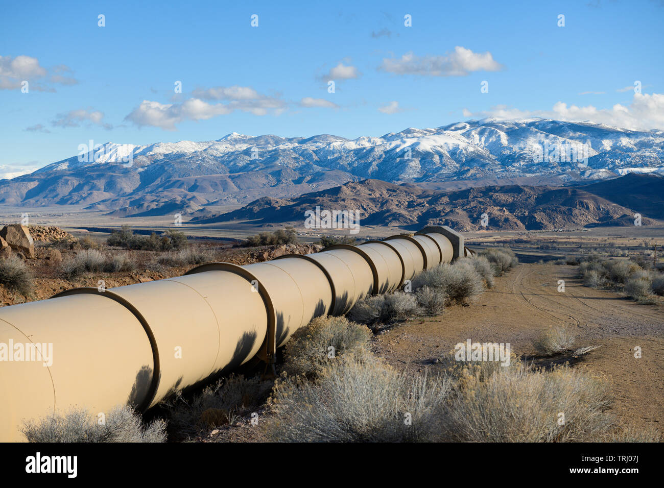 Batalla de los angeles Fotos e Imágenes de stock Alamy
