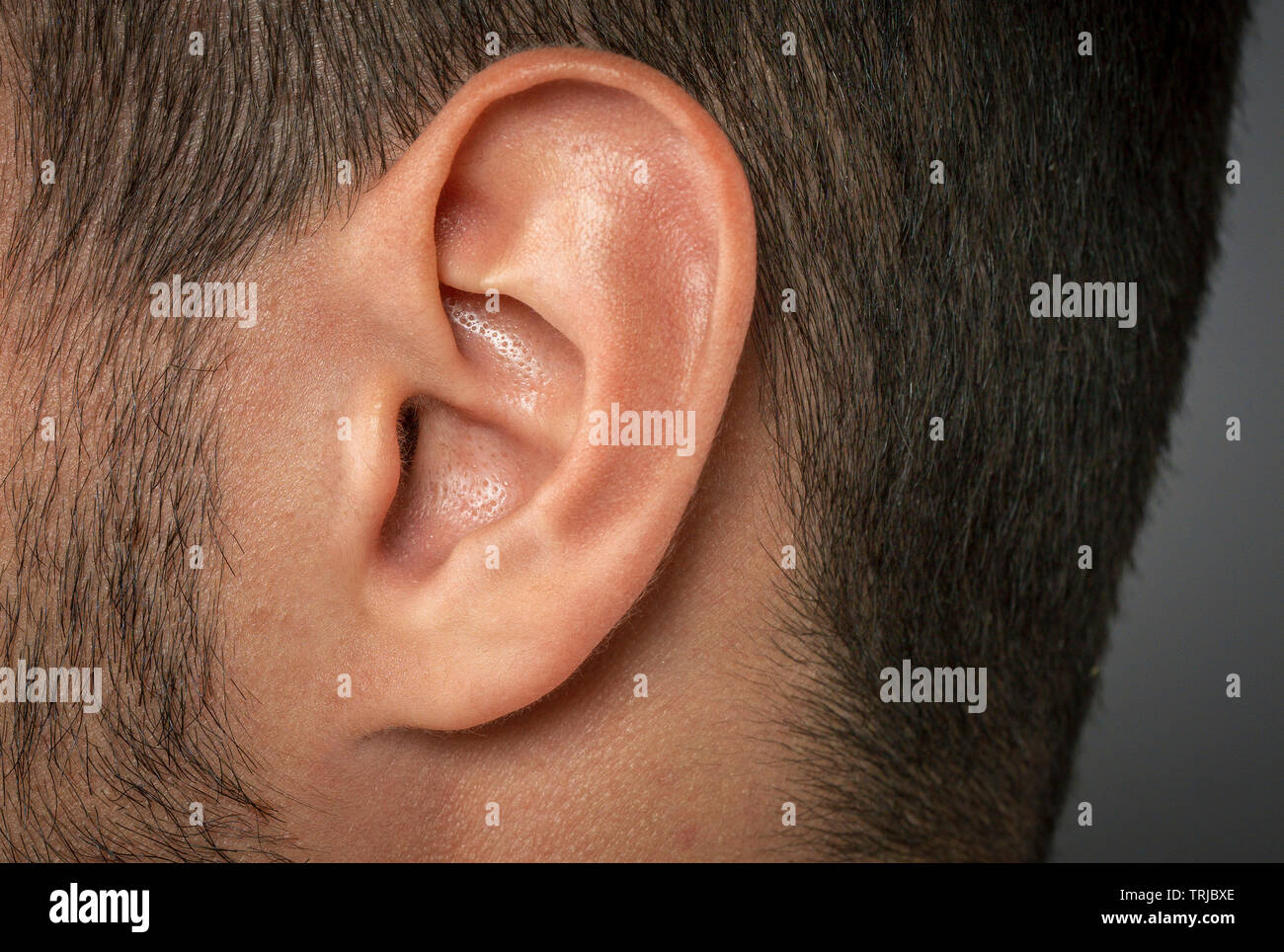 Detalle del oído humano primerísimos aislado Foto de stock