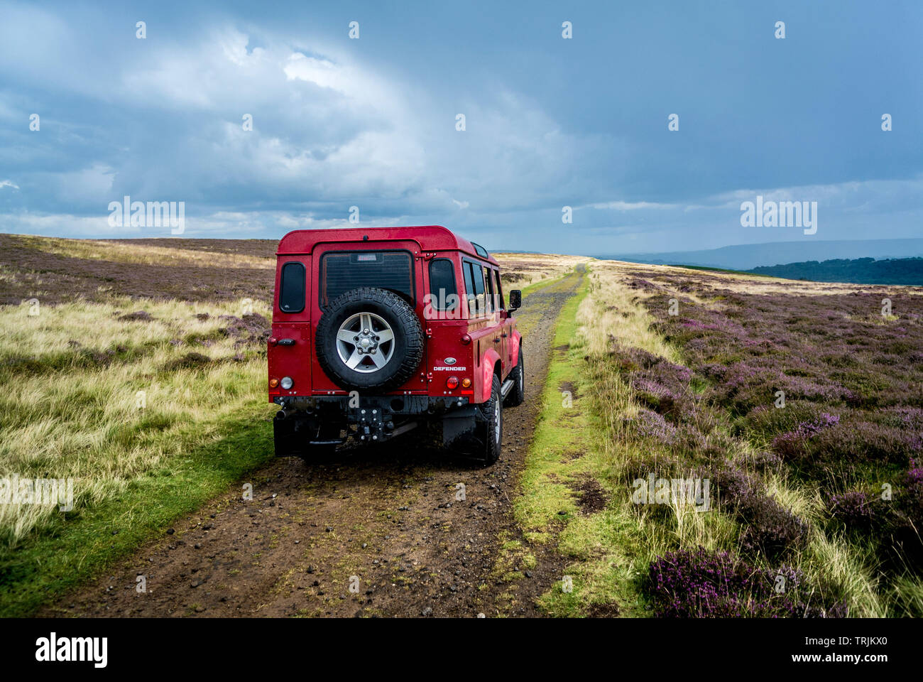 3 X Pegatinas de vehículos especiales Naranja Land Rover Defender Disco 90 110 TD5
