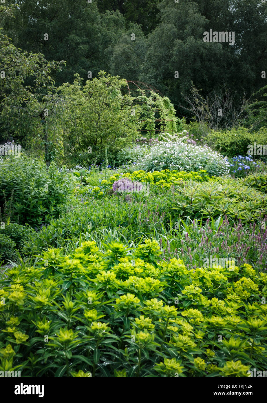 English jardín amurallado en Middleton Lodge cerca de Middleton Tyas en North Yorkshire Foto de stock