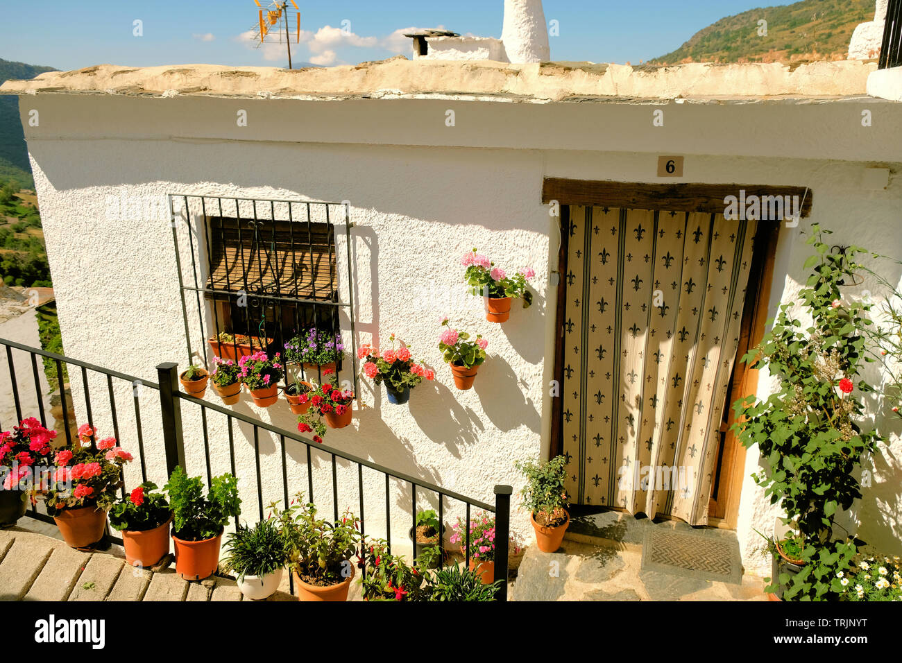 Rústica casa encaladas exterior en la aldea de Sierra Nevada Capileira, Las  Alpujarras, cerca de Granada, España; floración pantalones en macetas en  una pared Fotografía de stock - Alamy