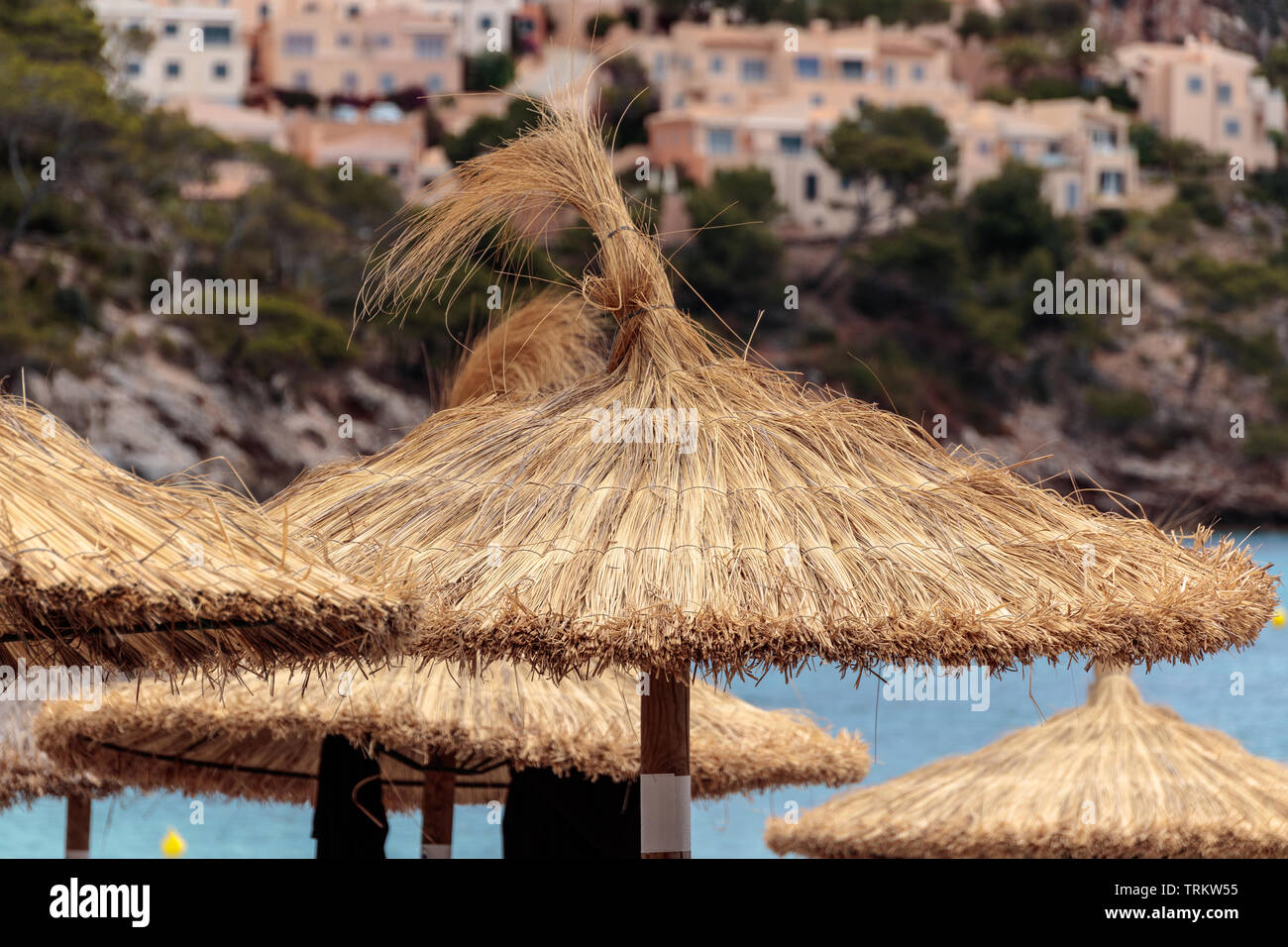 Sombrillas de paja en la playa de Canyamel, en Mallorca, España Fotografía  de stock - Alamy