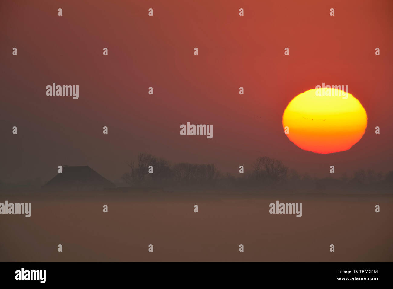 Impresionante Amanecer sobre un caserío y algunos campos cubiertos de neblina temprano por la mañana, el cielo de color rojo, sun loooks como una enorme bola de fuego, Europa. Foto de stock
