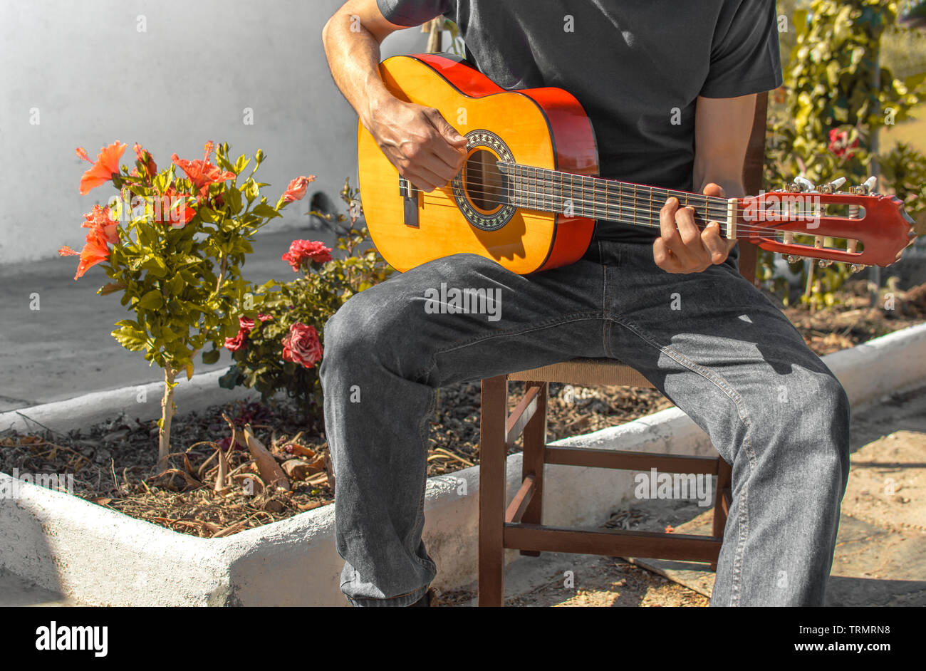 Joven guitarrista flamenco tocando la guitarra sentado en una silla en un  lugar natural con flores en un día soleado de primavera. El guitarrista en  patio andaluz Fotografía de stock - Alamy