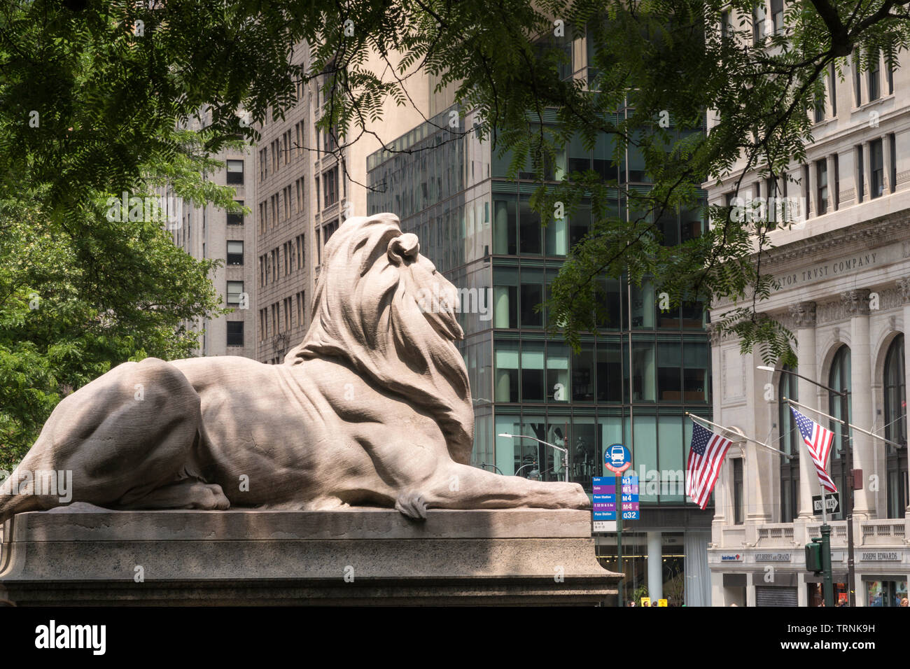 Estatua de león, la Biblioteca Pública de Nueva York, las ramas principales, NYC Foto de stock
