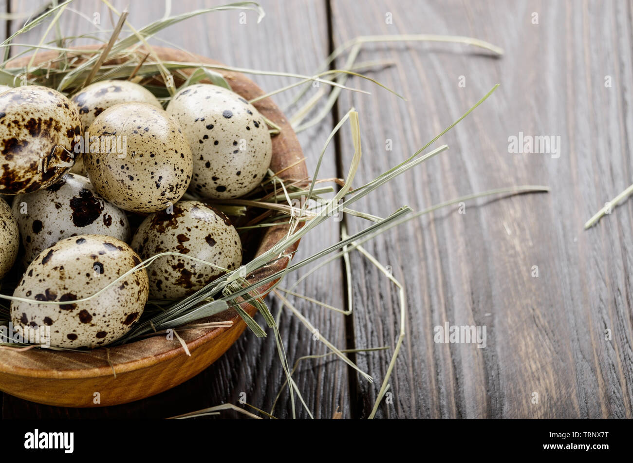 Huevos de codorniz orgánicos frescos en recipiente de madera de estilo rústico en la mesa de la cocina. Espacio para el texto Foto de stock
