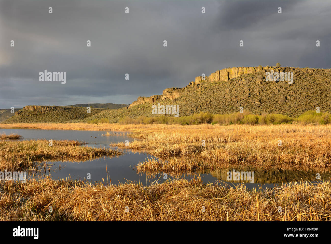 Buena Vista estanques, Malheur National Wildlife Refuge, Oregon Oriental. Foto de stock