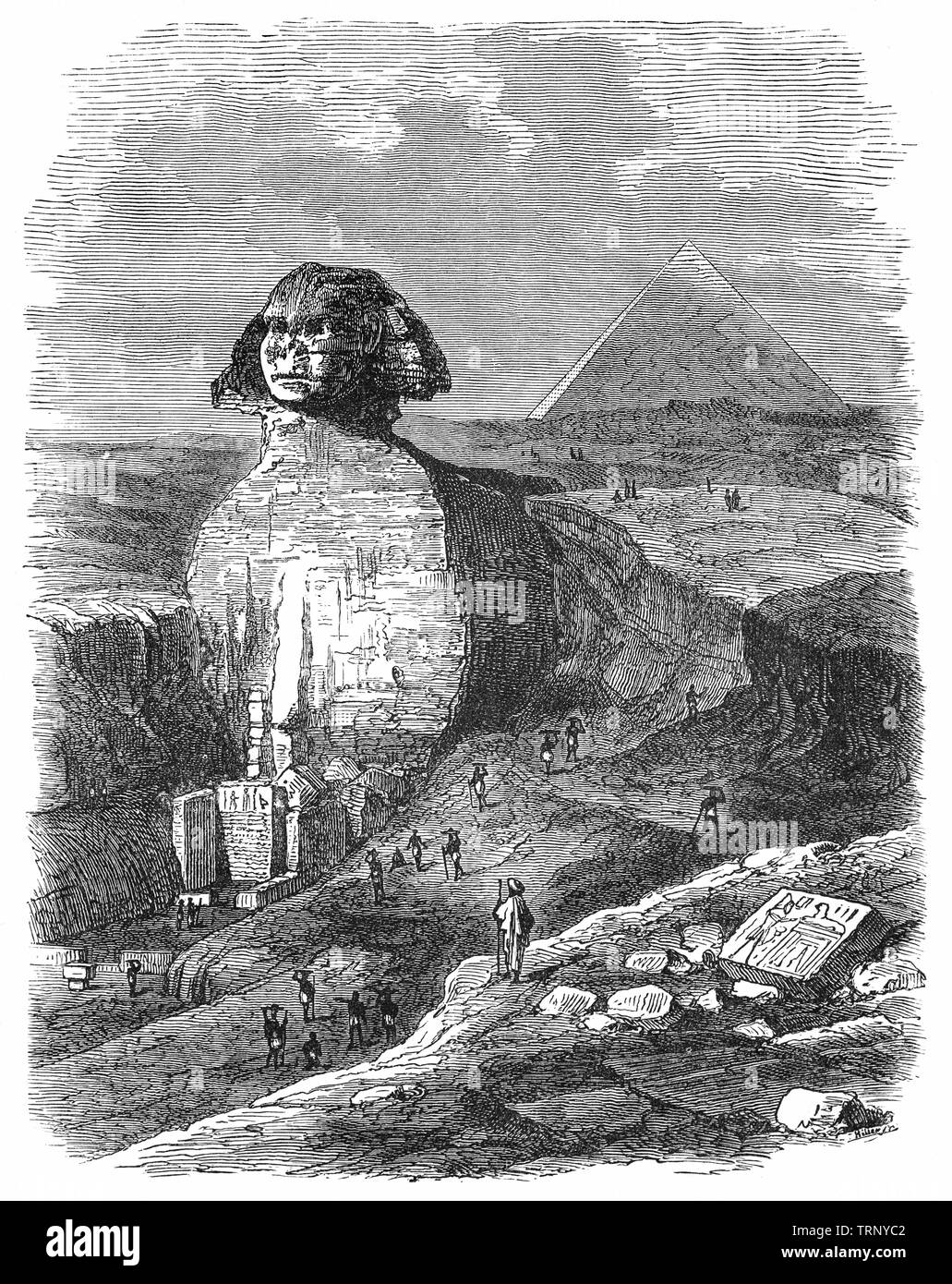 La Gran Esfinge de Giza, literalmente la aterradora Uno en medio de pirámides egipcias es una estatua yacente de piedra caliza de una esfinge, una criatura mítica con el cuerpo de un león y la cabeza de un humano.mirando directamente desde el oeste hacia el este, se encuentra en la meseta de Giza en la ribera occidental del Nilo, en Giza, Egipto. La Esfinge es la escultura monumental más antigua conocida en Egipto y comúnmente se cree que han sido construidas por los antiguos egipcios del Antiguo Reino durante el reinado del faraón Khafre. Foto de stock